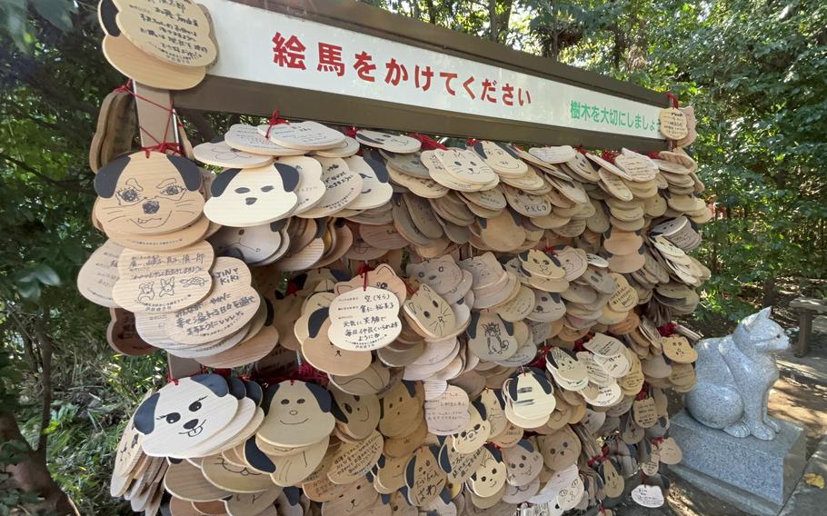 pets ema plaques hanging